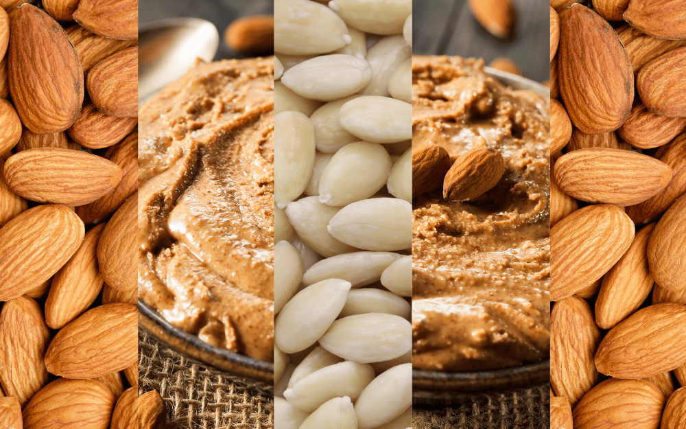 Mandelmus selber machen - Royalnuts Genuss GmbH