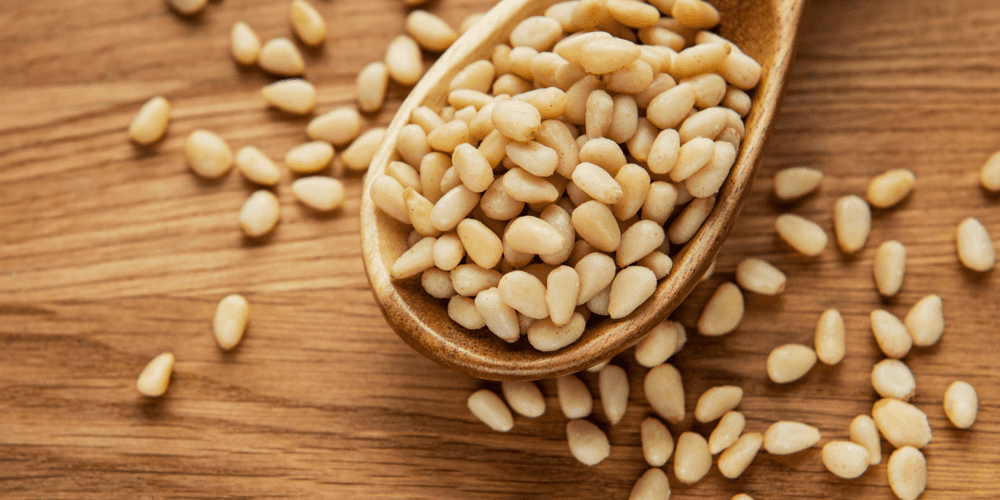 Pinienkerne - Gesund oder leere Kalorienbombe? - Royalnuts Genuss GmbH